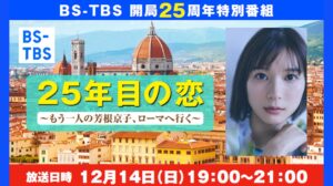 「25年目の恋～もう一人の芳根京子、ローマへ行く～」セールス企画書